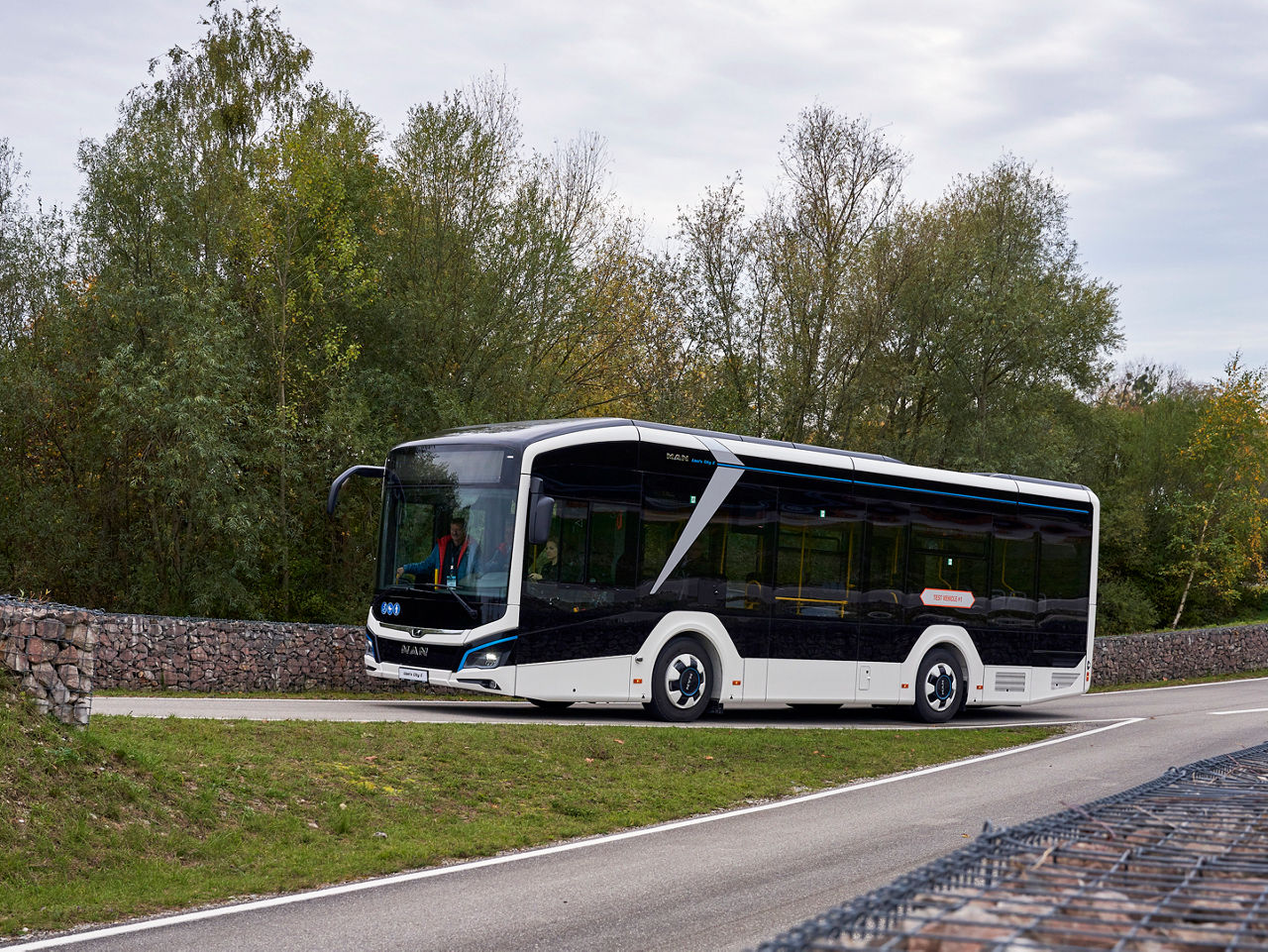 06-Bus-of-the-Year-v-panielsku.jpg