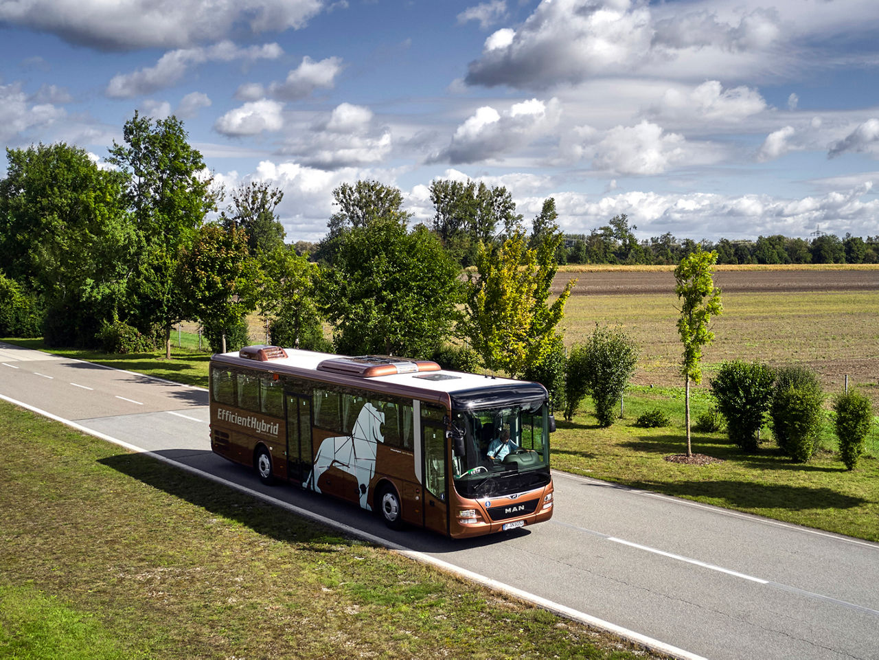 Autobus MAN Lion’s City na venkovské silnici s polem a stromy v pozadí.