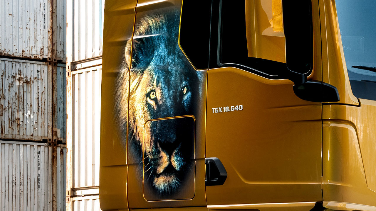 1536x864-dekorfolie-lion-face.jpg