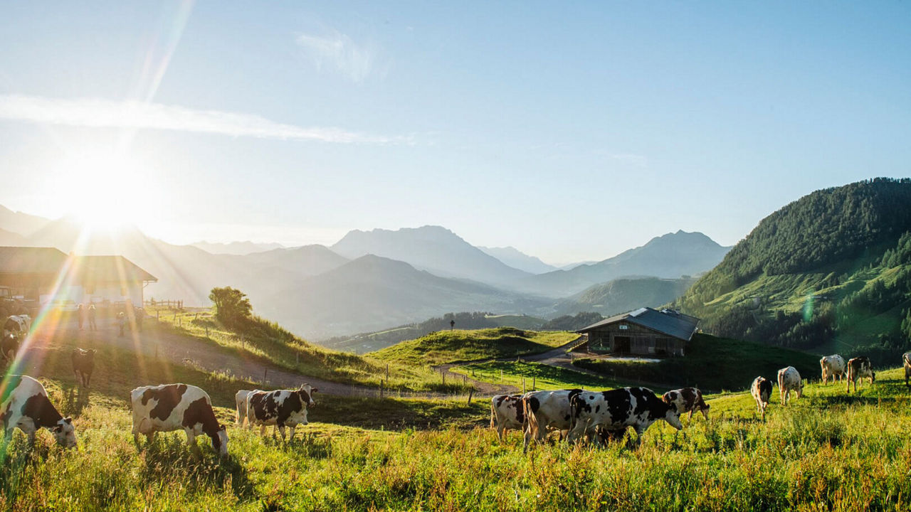 Blick über die Berge des Berchtesgadener Landes