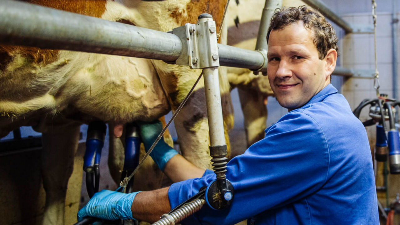 Almbesitzer melkt eine Kuh