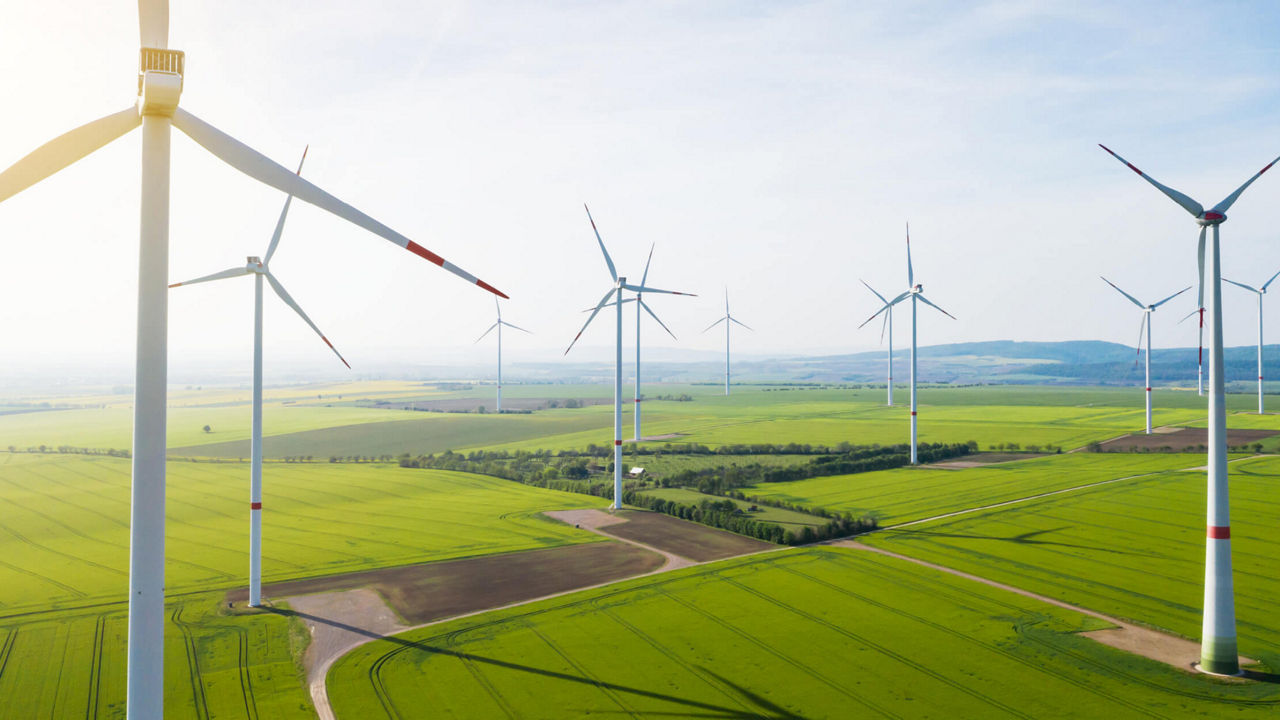 Many wind turbines on a greenfield site