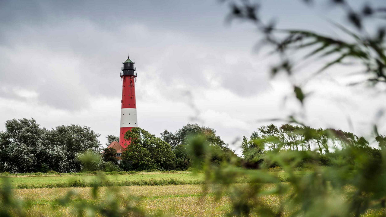 The lighthouse on the island