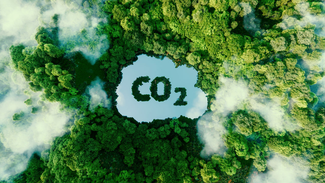 Aerial view of a forest landscape with a lake in the centre, on which CO2 is written in the shape of a cloud.