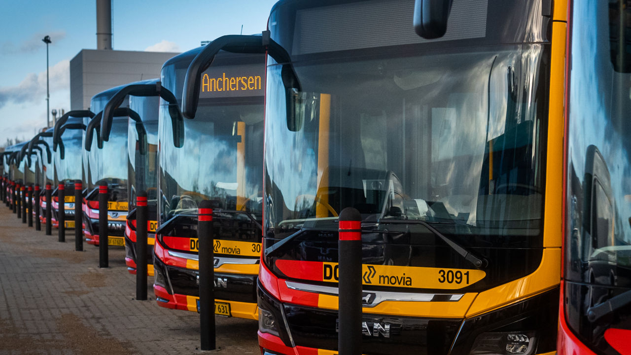 Viele geparkte Elektrobusse von MAN