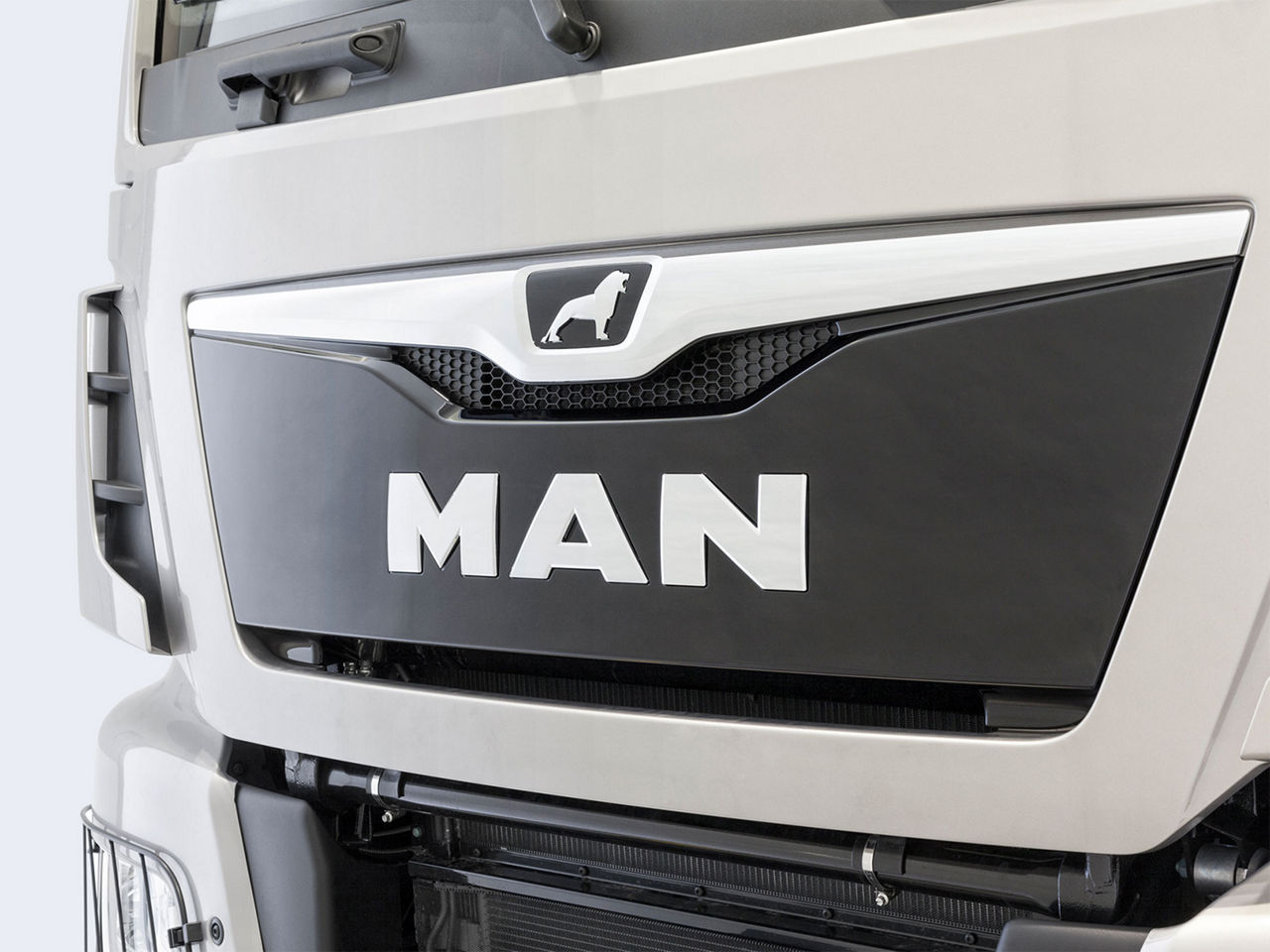 Radiatorgrille met logo