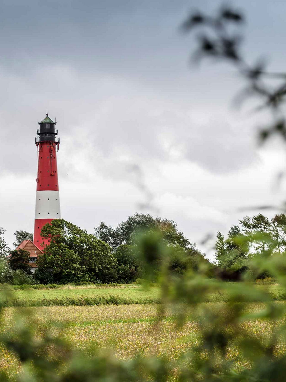 The lighthouse on the island