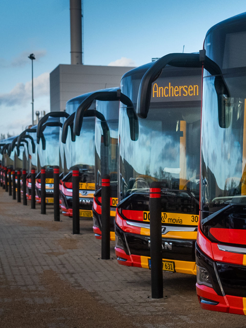 Viele geparkte Elektrobusse von MAN