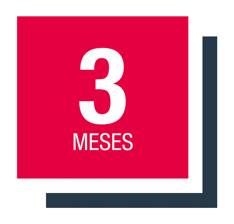 3 meses visual