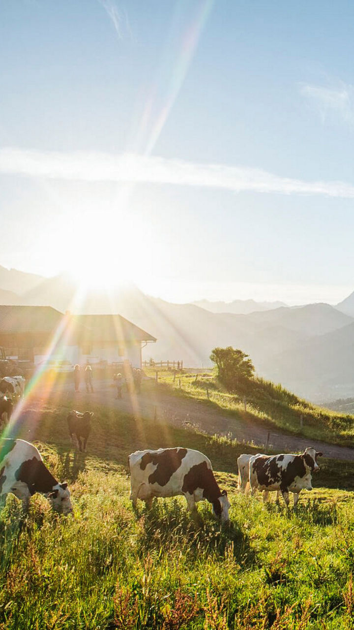 Blick über die Berge des Berchtesgadener Landes