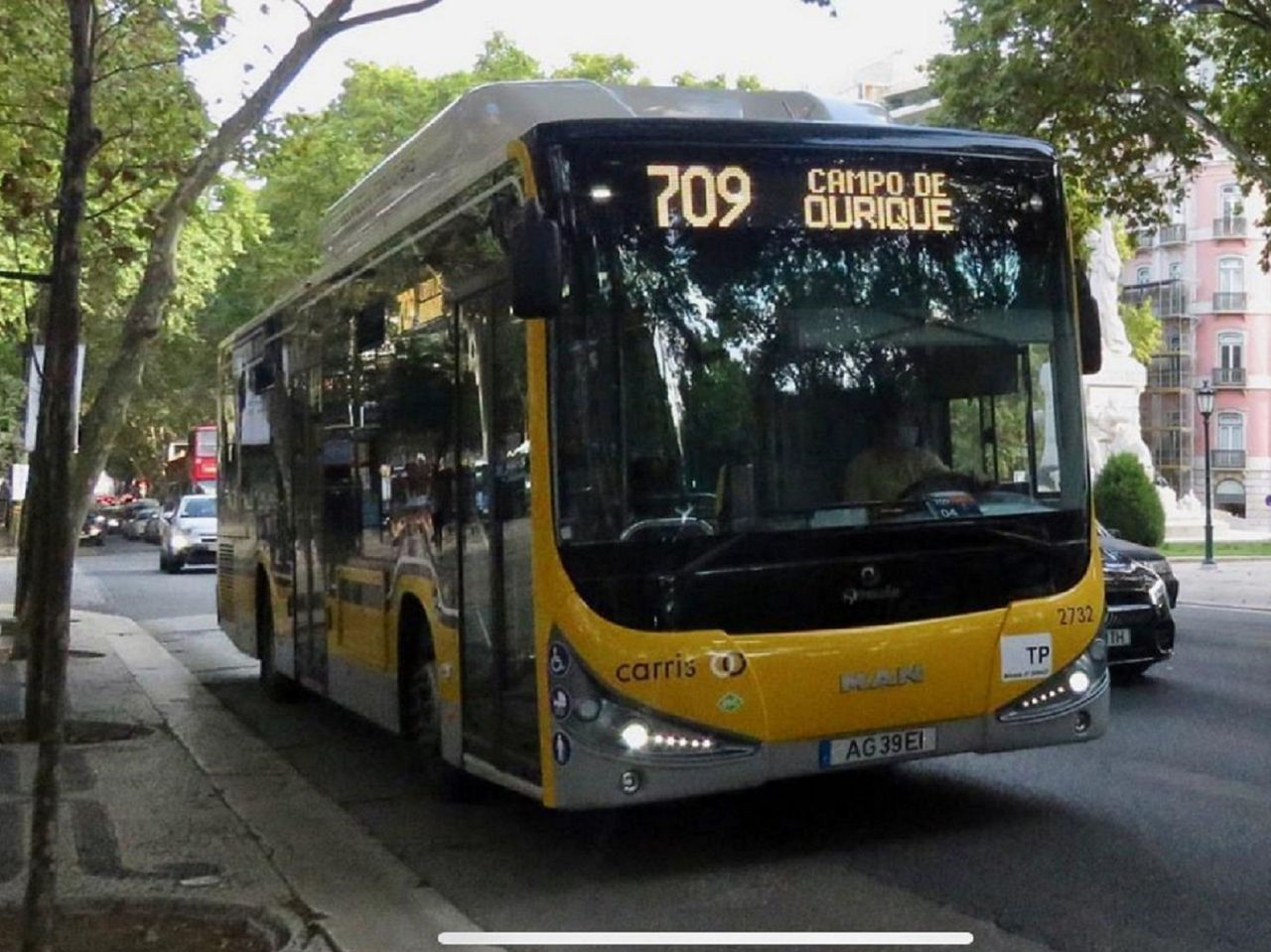 Bus-2.jpg