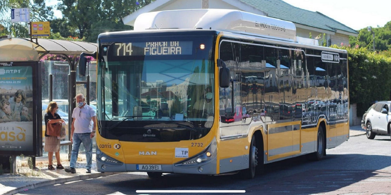 Bus-3.jpg