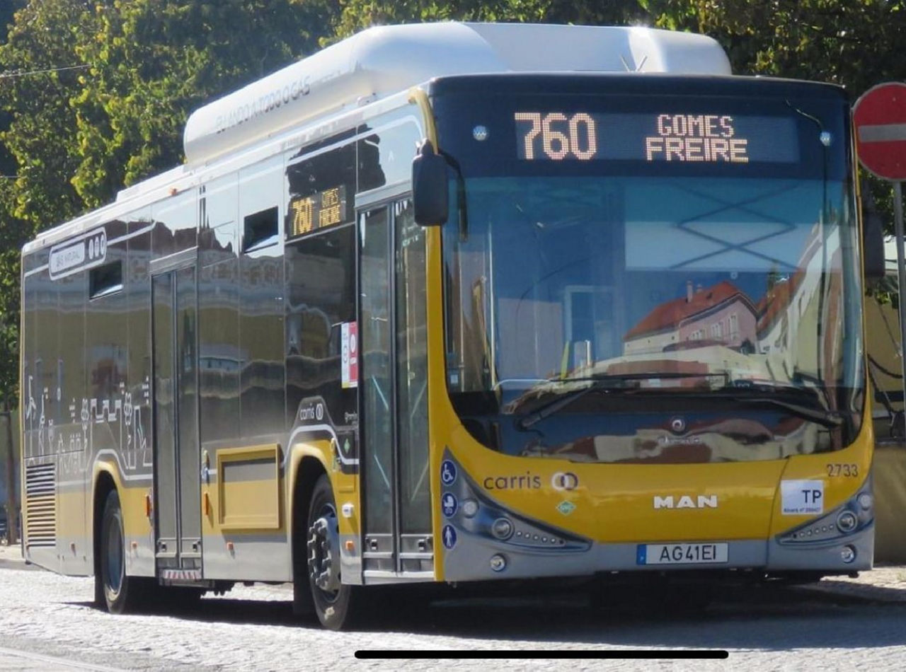 Bus-4.jpg