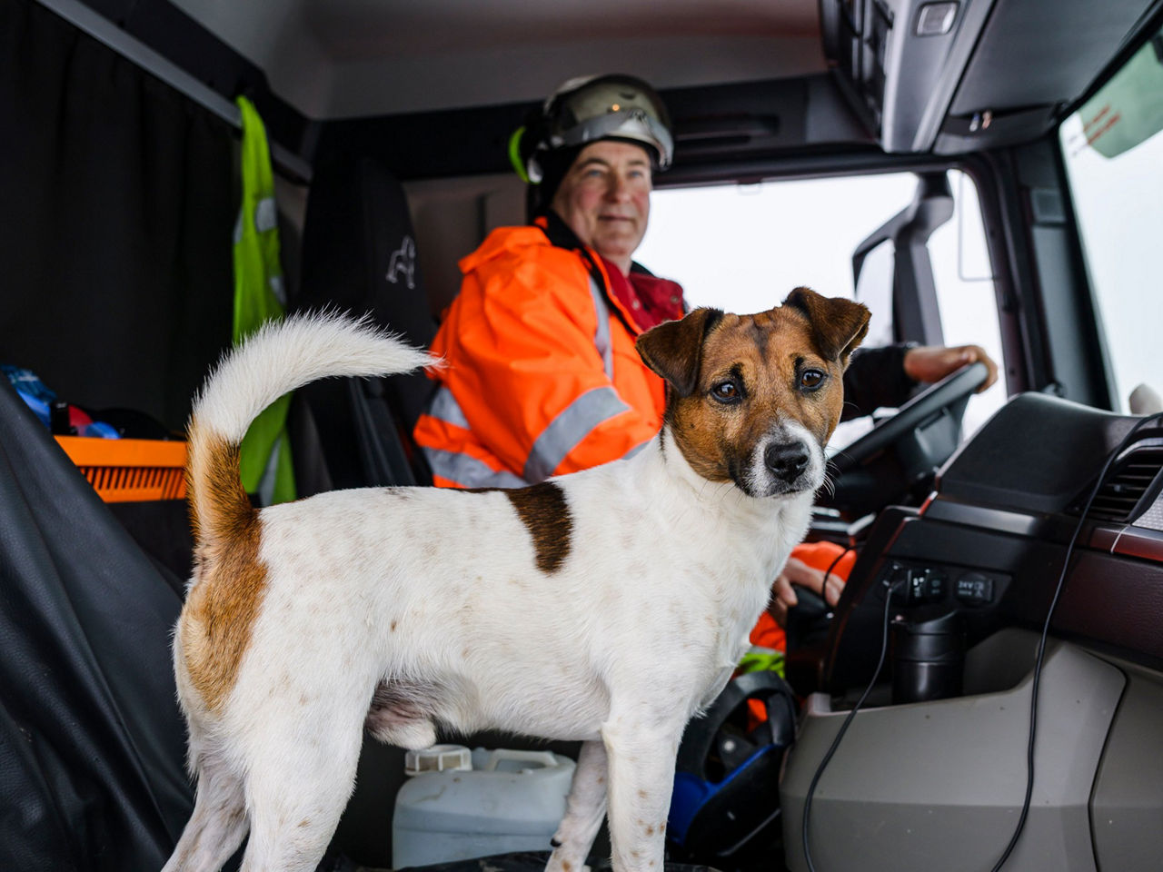 Der Jack Russel Hund von Matthias Sebastian ist immer mit dabei und begleitet sein Herrchen auch im Lkw mit.