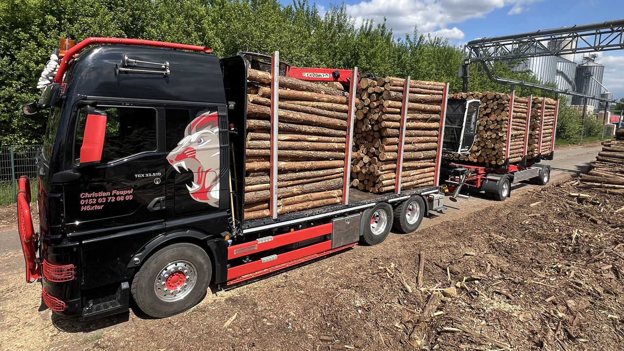Schwarzer MAN TGX 33.510 mit roten Zierelementen und Löwenbeklebung voll beladen mit Kurzholz und Anhänger