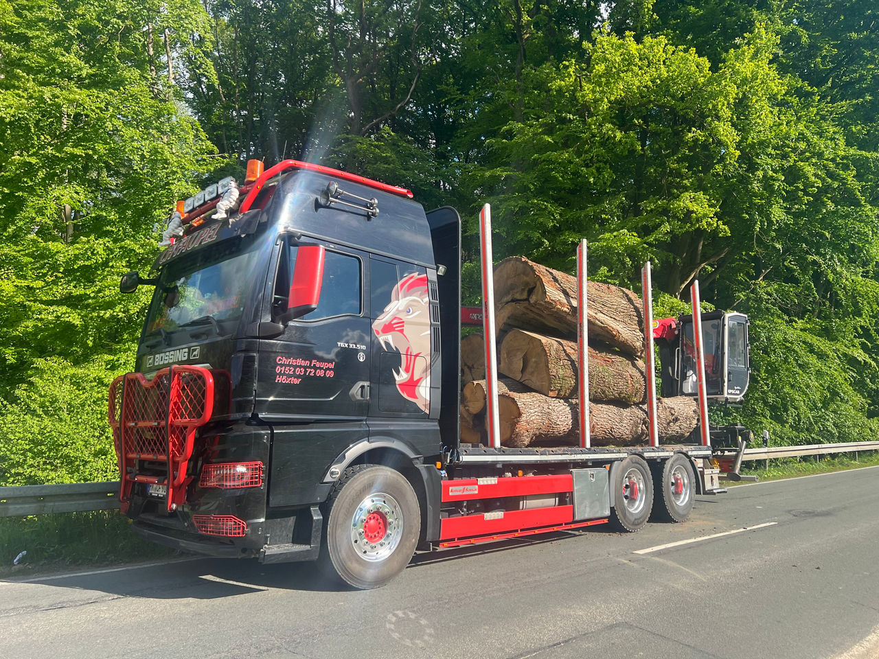 Schwarzer MAN TGX 33.510 mit roten Zierelementen und Löwenbeklebung voll beladen mit dicken Kurzholz 