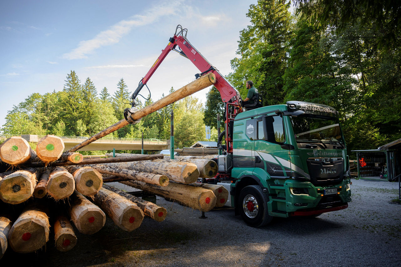 Der grüne MAN lädt das Holz auf einen Polder ab.