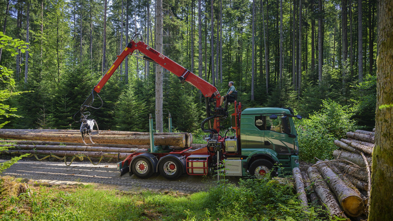 Der grüne MAN lädt das Holz auf einen Polder ab.
