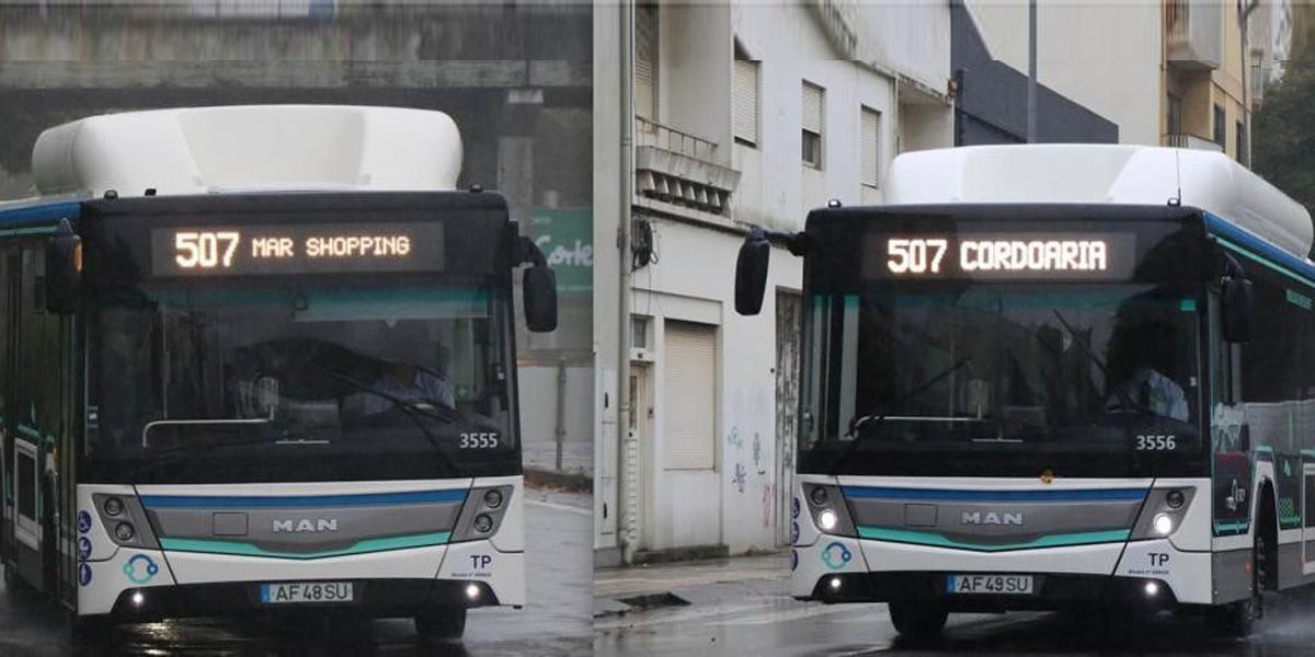 MAN-Bus---1-Stage.jpg