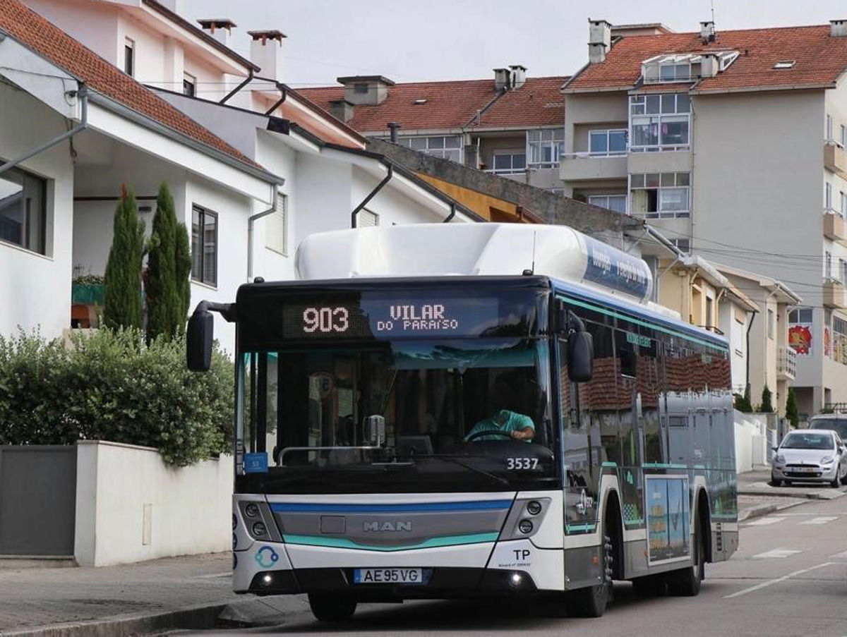 MAN-Bus---3-4x3.jpg