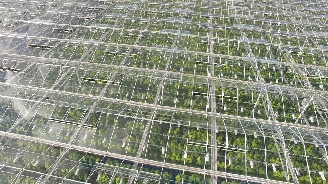 MAN diesel engines for pump drives