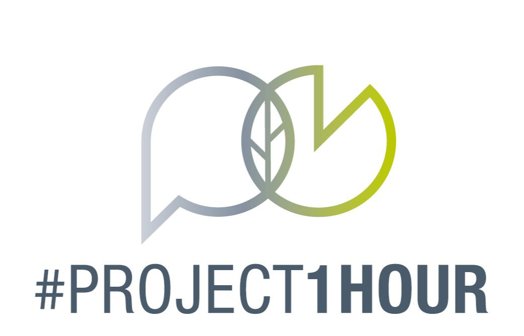 Project1Hour.jpg
