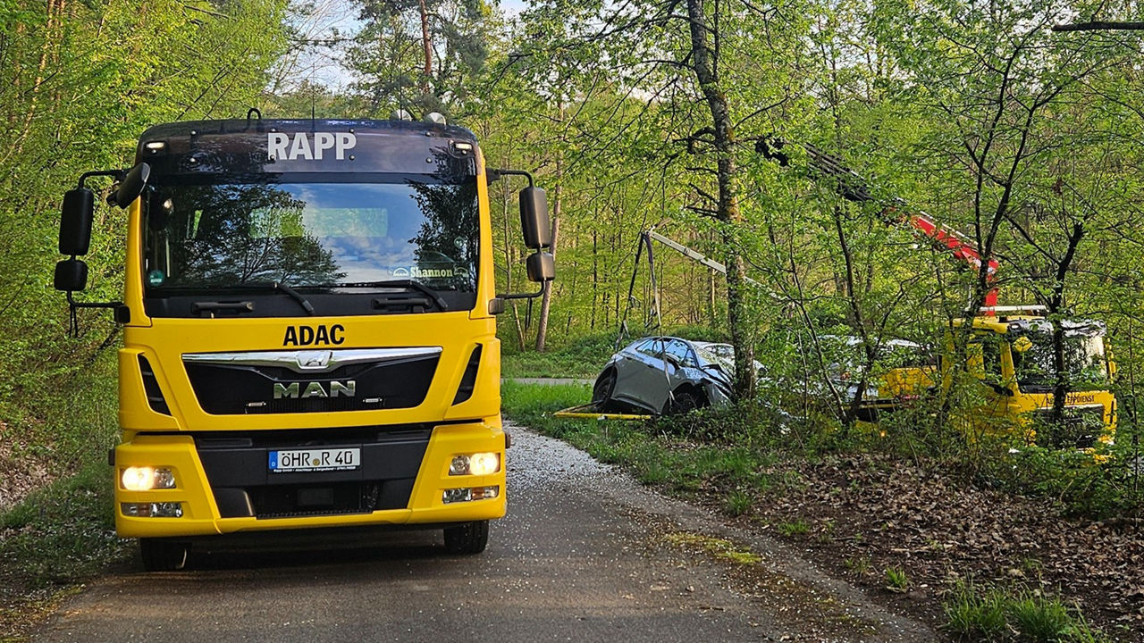 Rapp_9.jpg