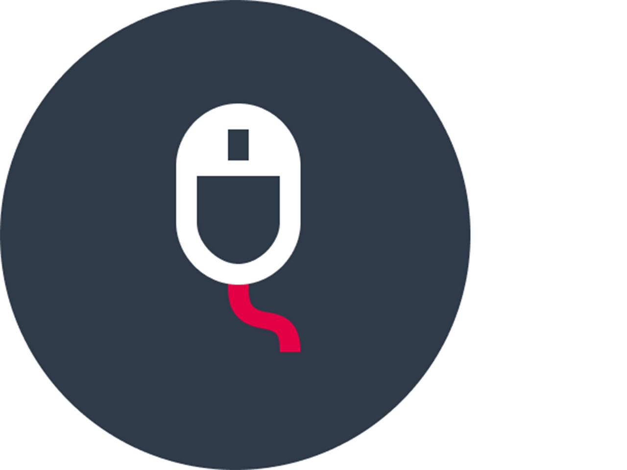 Icon of a computer mouse