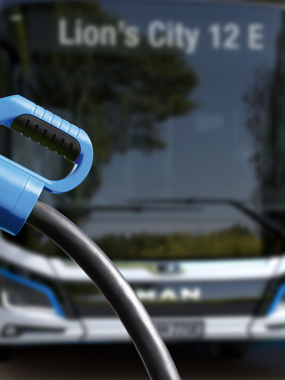 Verantwortung für die Umwelt