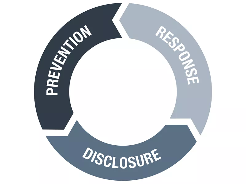 Graphic explaining the MAN Compliance Programme