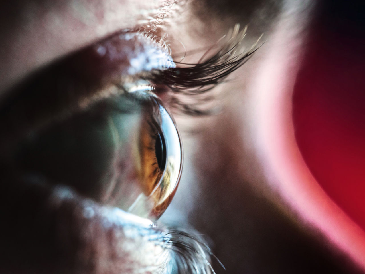 Die Kosten immer im Blick