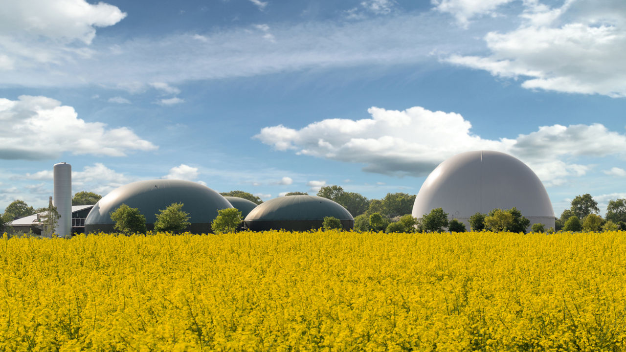 Biogas plant behind rapeseed field