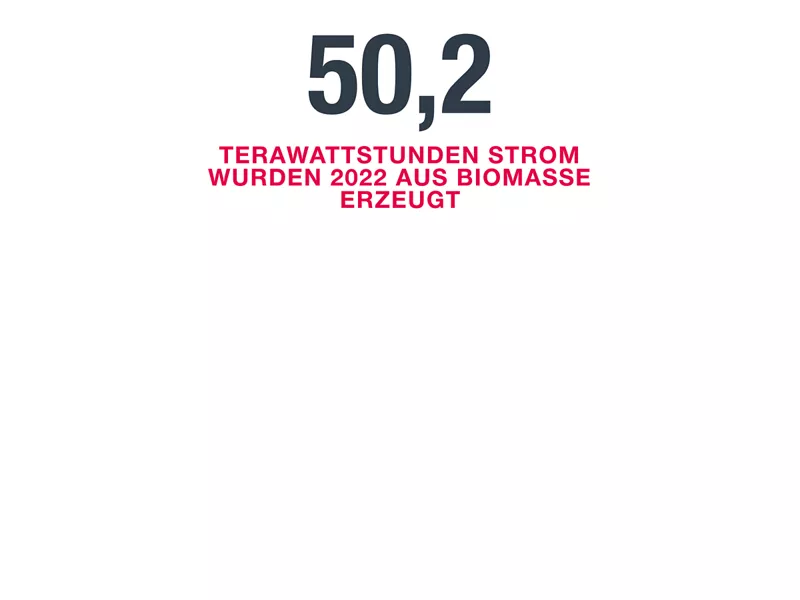 Strom aus Biomasse erzeugt