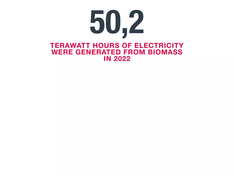 Electricity generated from biomass