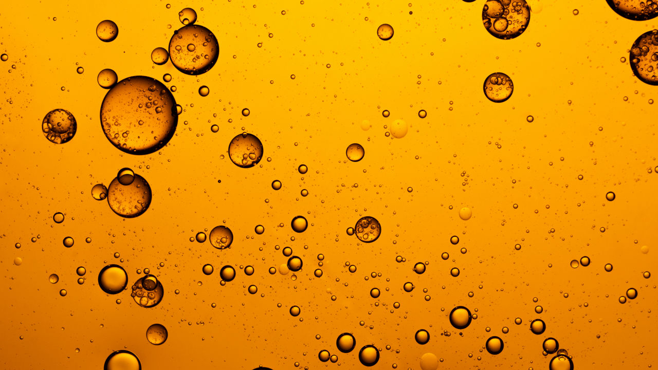 Animal fat for the production of HVO fuel