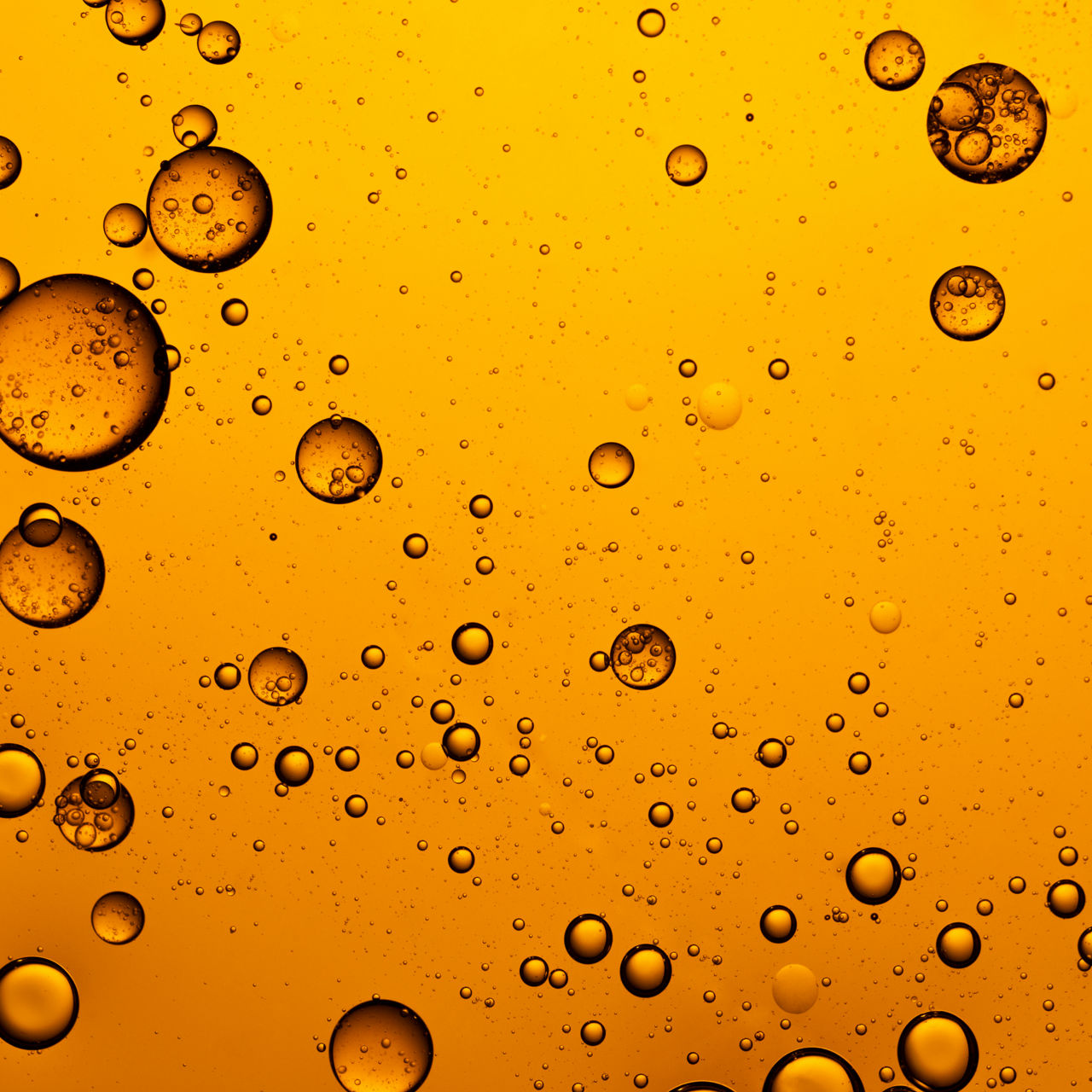 HVO as a climate-friendly diesel substitute