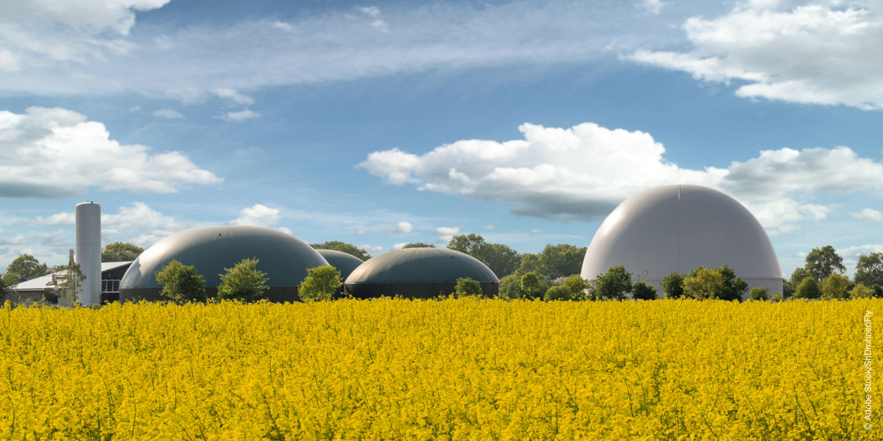 Biogas for MAN gas engines