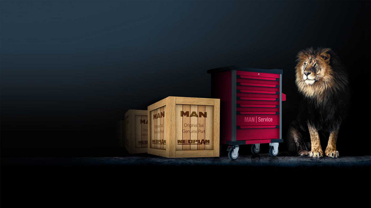 Een leeuw staat naast een gereedschapstrolley.