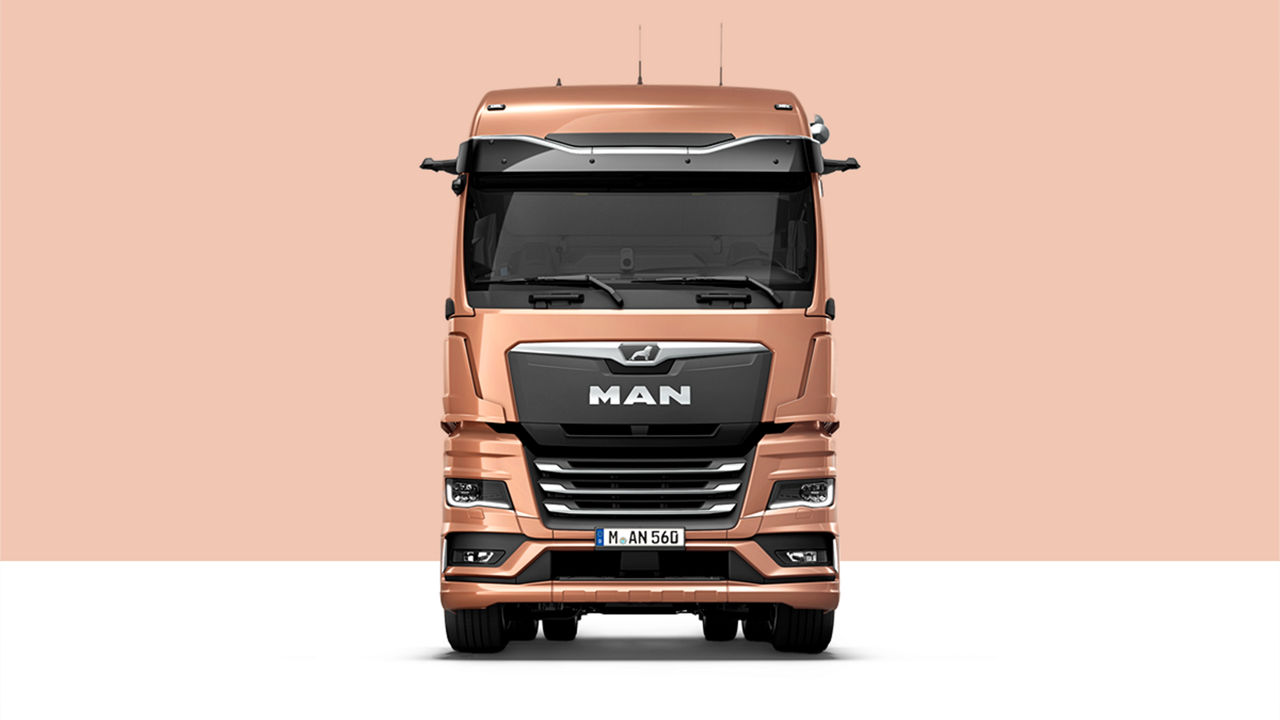 Фото модели 3 TGX — не этой машины