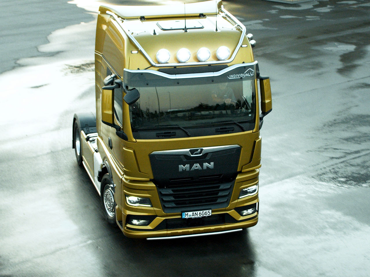 MAN Individual Lion takaa ilmeikkään ilmeen.