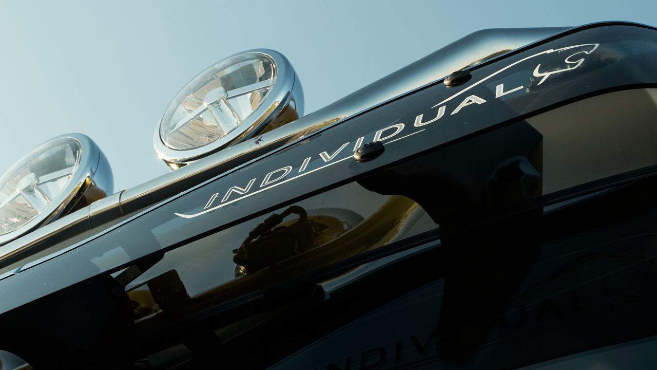 MAN Individual Lion -aurinkolippa