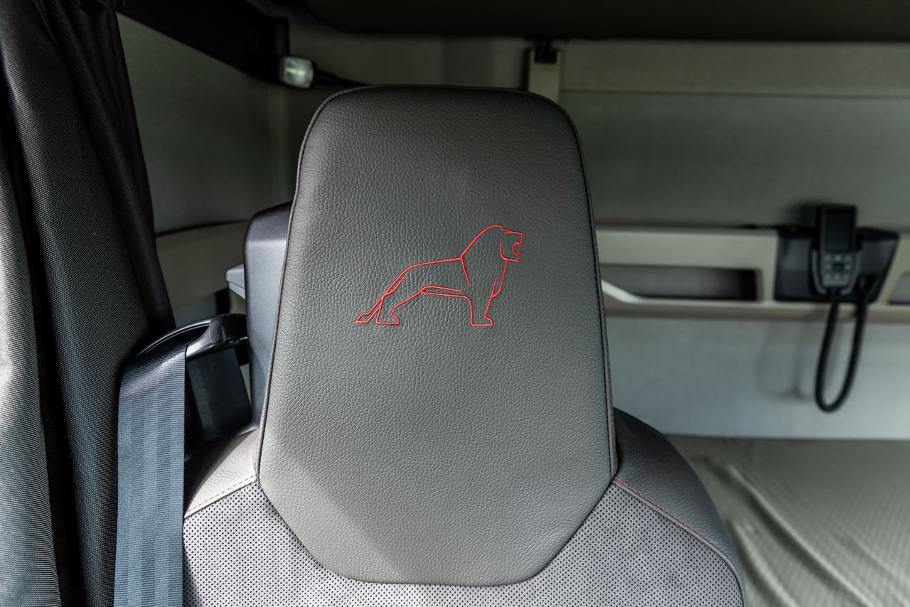 Gedeeltelijk lederen stoelen met leeuwenembleem