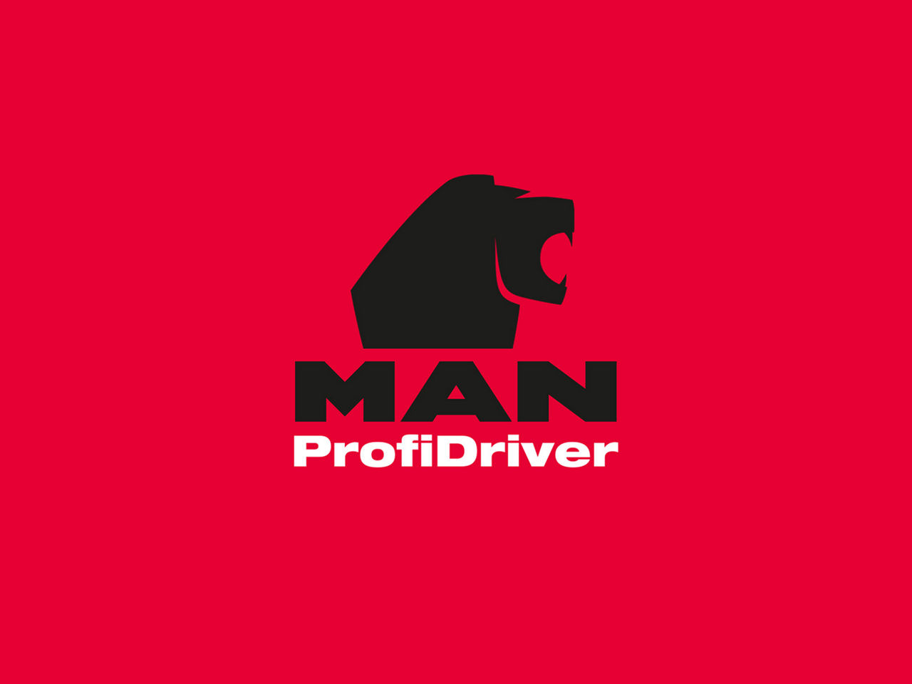 man-profidriver.jpg