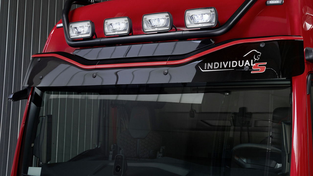 Sluneční clona s nápisem Individual Lion S