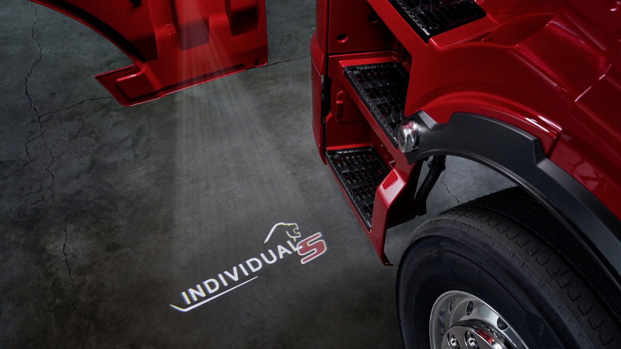 Světelný dveřní projektor s logem Lion S