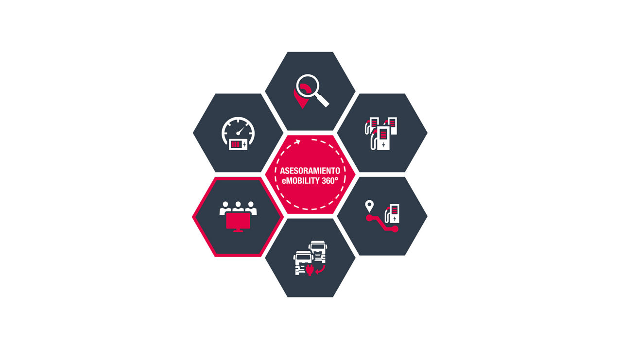 Servicios y formación