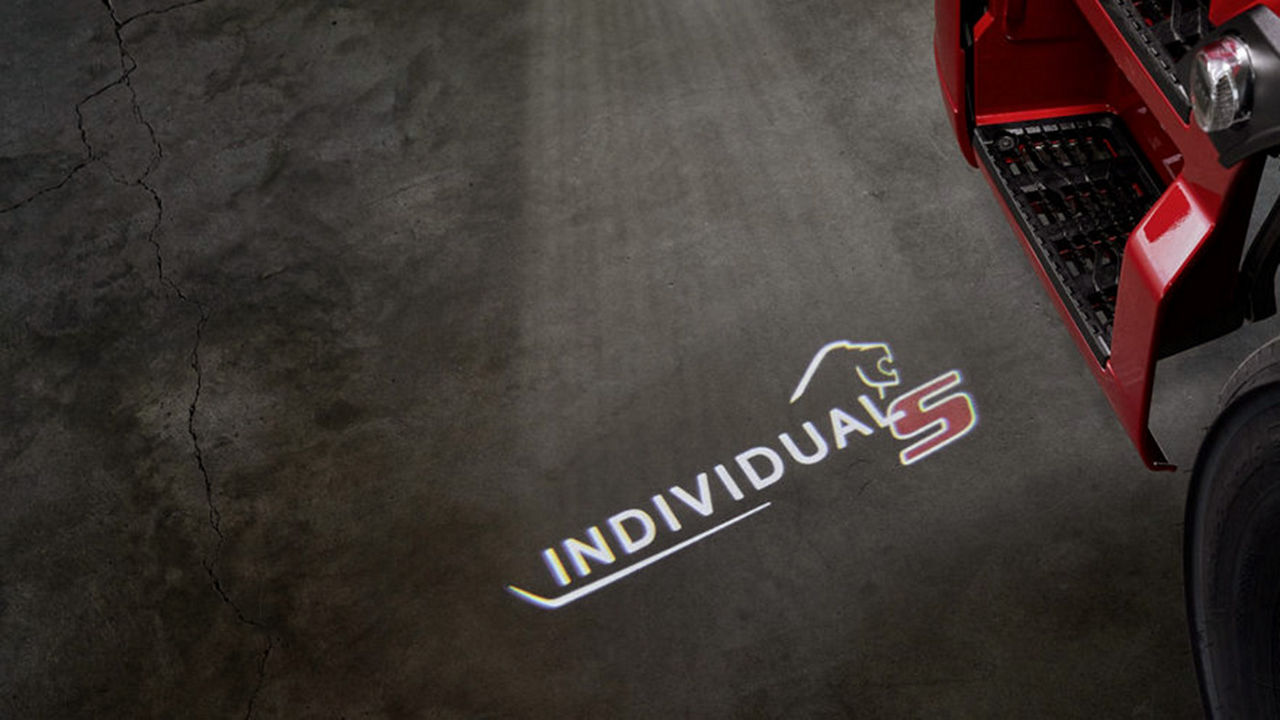 Türlichtprojektor mit Lion S Logo