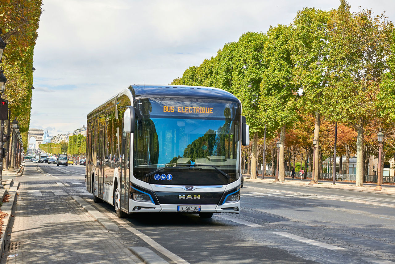 p-buseot-lionscitye-france-paris-13.jpg