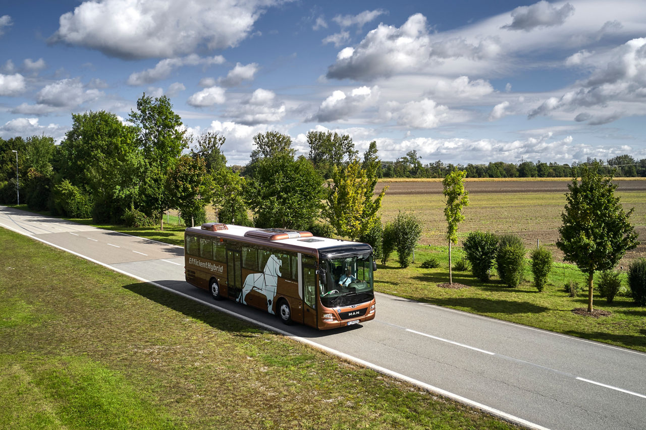 MAN Lion's Intercity