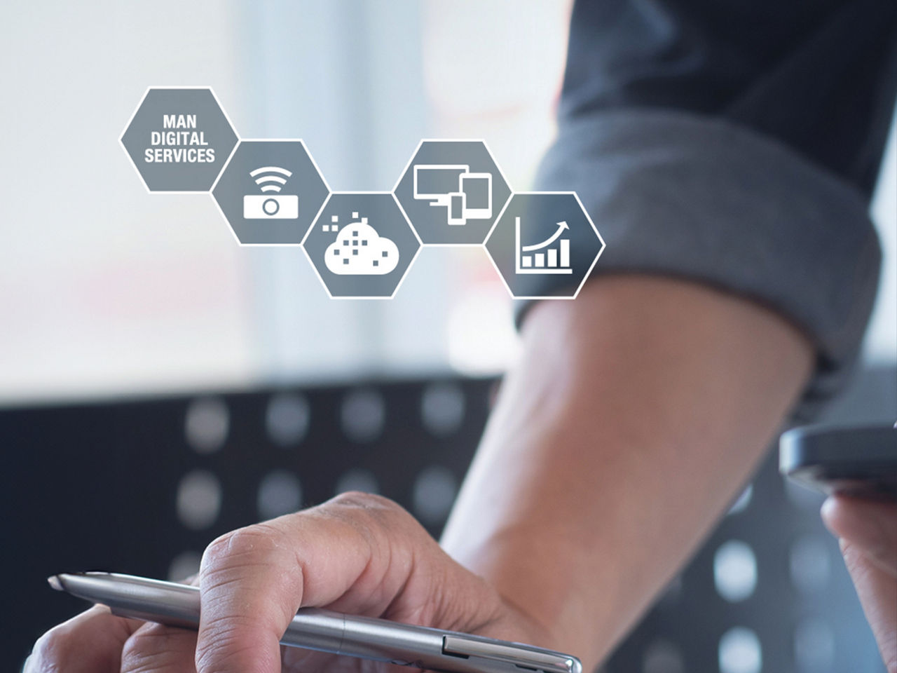 The MAN lion as a stylised grid.